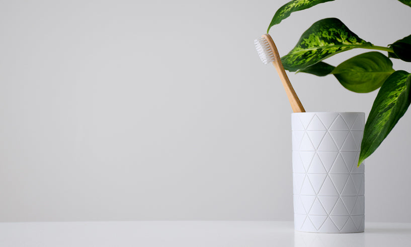 natural bamboo toothbrush with replaceable head