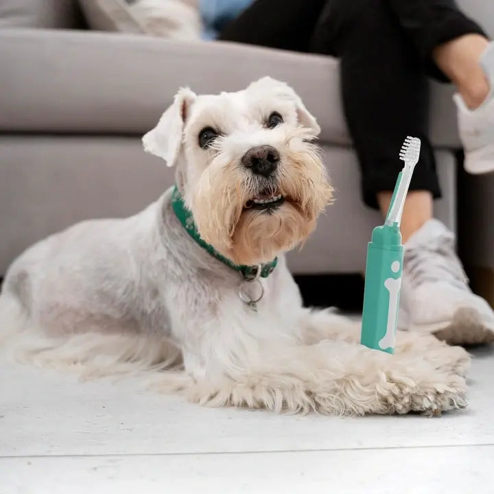 How Our Revolutionary Technology Enhances Your Dog's Dental Health