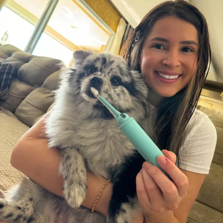 The Best Dog Toothbrushes for Effective Canine Dental Care: From Traditional to Electric and Small Dog Options