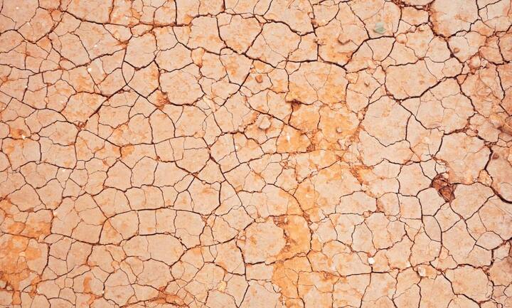 xylitol for dry mouth