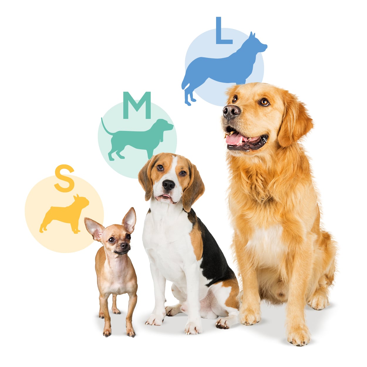 Petsie Dog Toothbrush